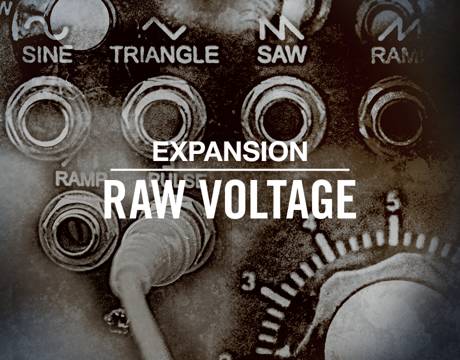 Native Instruments Expansion - Raw Voltage